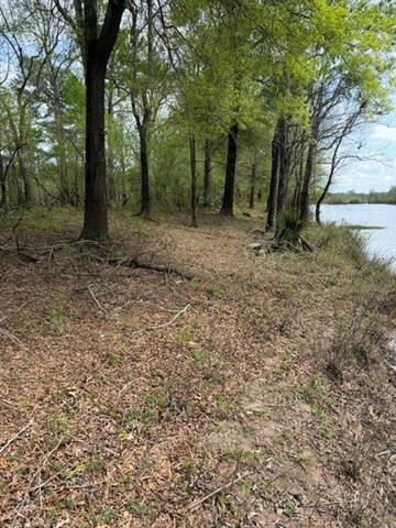 0 Rigolette Road Pineville, LA 71360 - Photo 3 of 16 Gallery Image 3