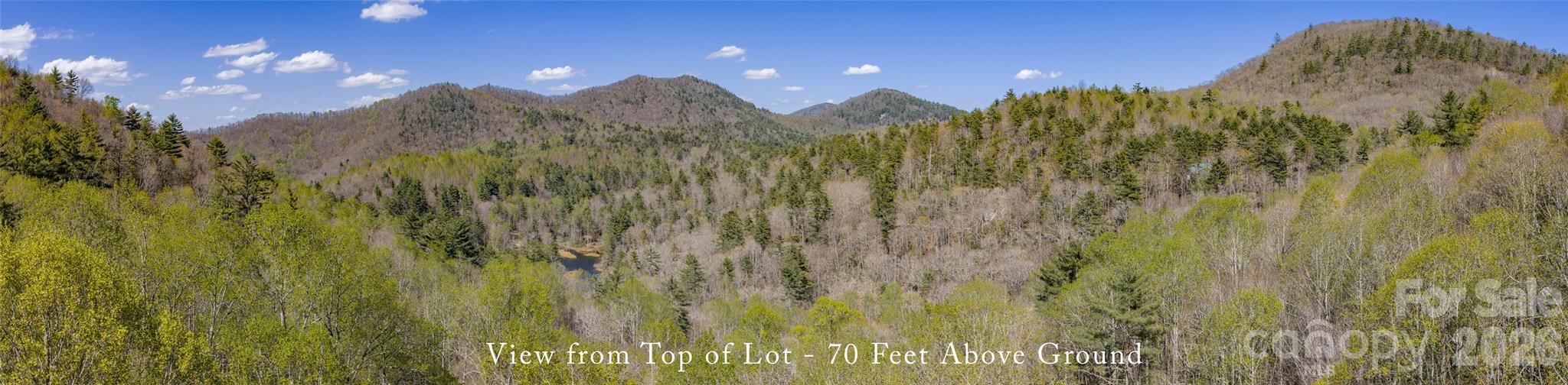 4419 Flat Mountain Road Highlands, NC 28741 - Photo 15 of 17