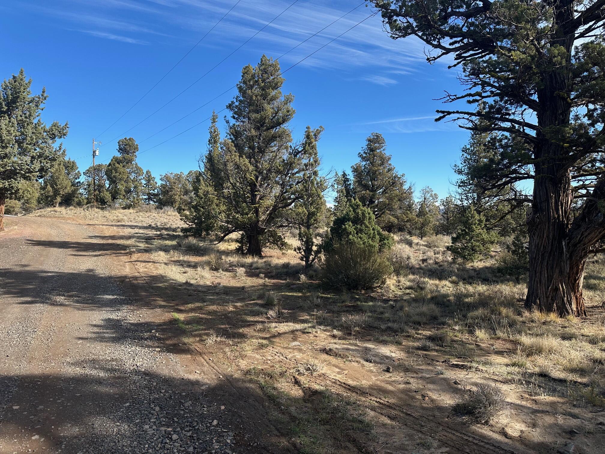 Southeast Renegade Loop Prineville, OR 97754 - Photo 2 of 8