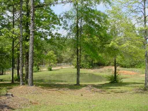64108 Elk River Road Amite, LA 70422 - Photo 6 of 8 Gallery Image 6