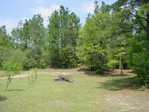 64108 Elk River Road Amite, LA 70422 - Photo 7 of 8 Gallery Image 7