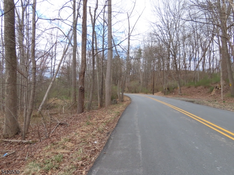 173 Hope Road Blairstown, NJ 07825 - Photo 1 of 11