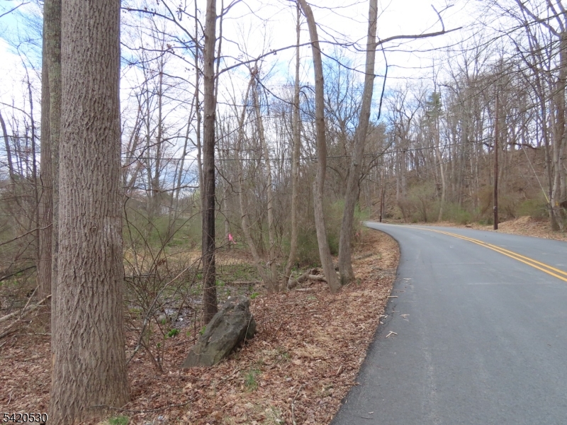 173 Hope Road Blairstown, NJ 07825 - Photo 2 of 11