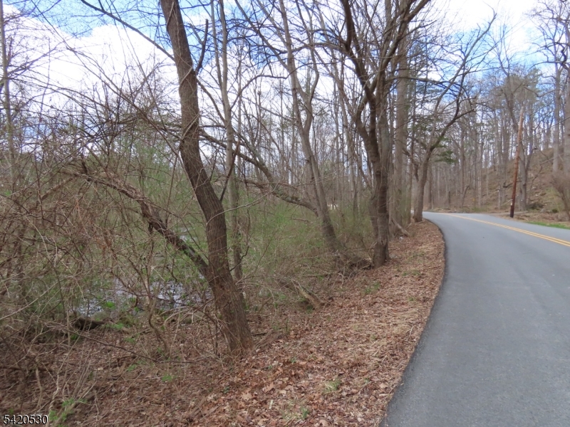 173 Hope Road Blairstown, NJ 07825 - Photo 3 of 11