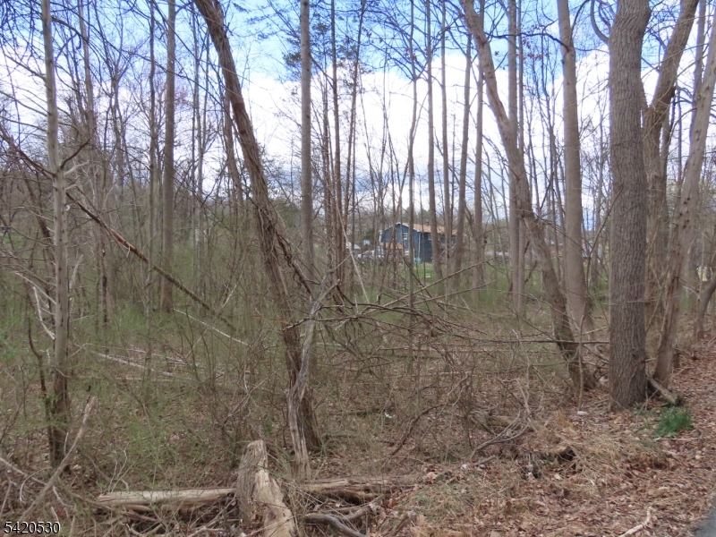 173 Hope Road Blairstown, NJ 07825 - Photo 5 of 11