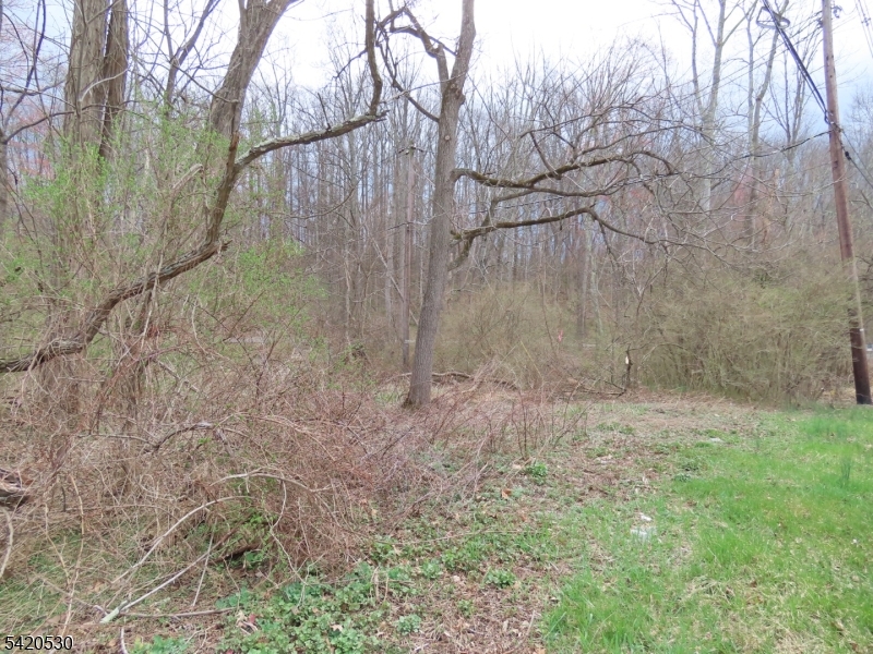 173 Hope Road Blairstown, NJ 07825 - Photo 7 of 11