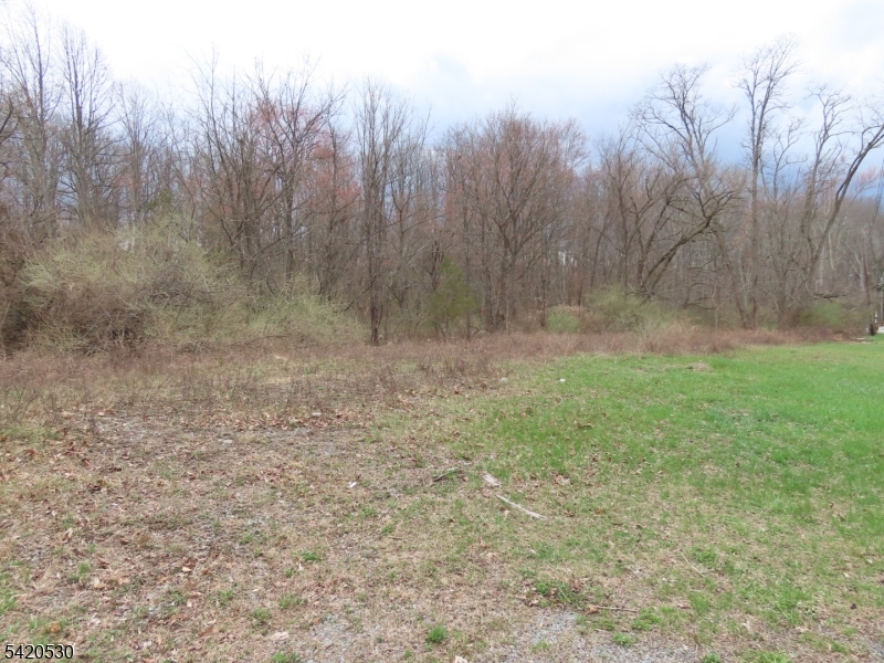 173 Hope Road Blairstown, NJ 07825 - Photo 8 of 11