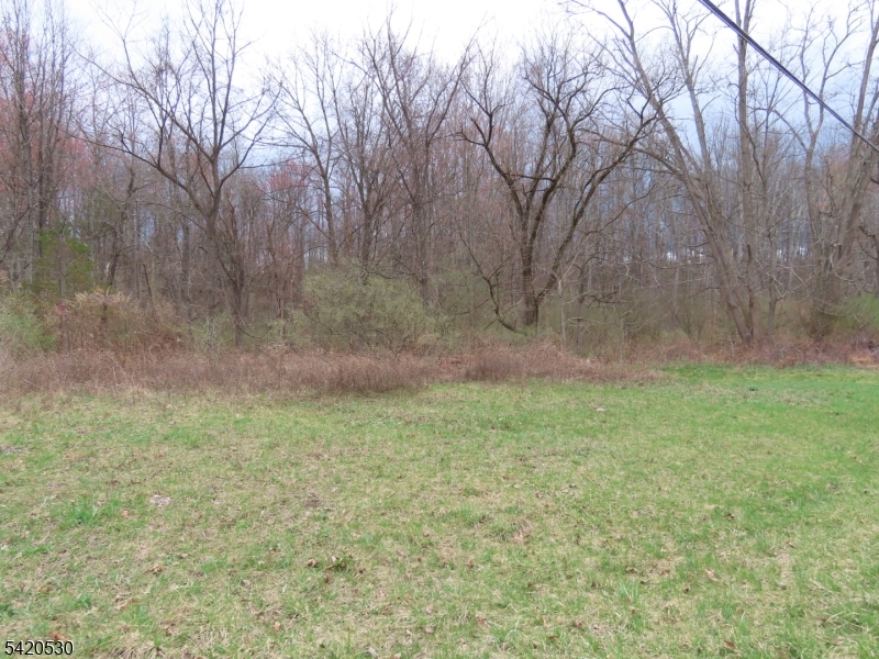 173 Hope Road Blairstown, NJ 07825 - Photo 9 of 11