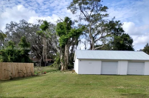 a view of backyard and tree