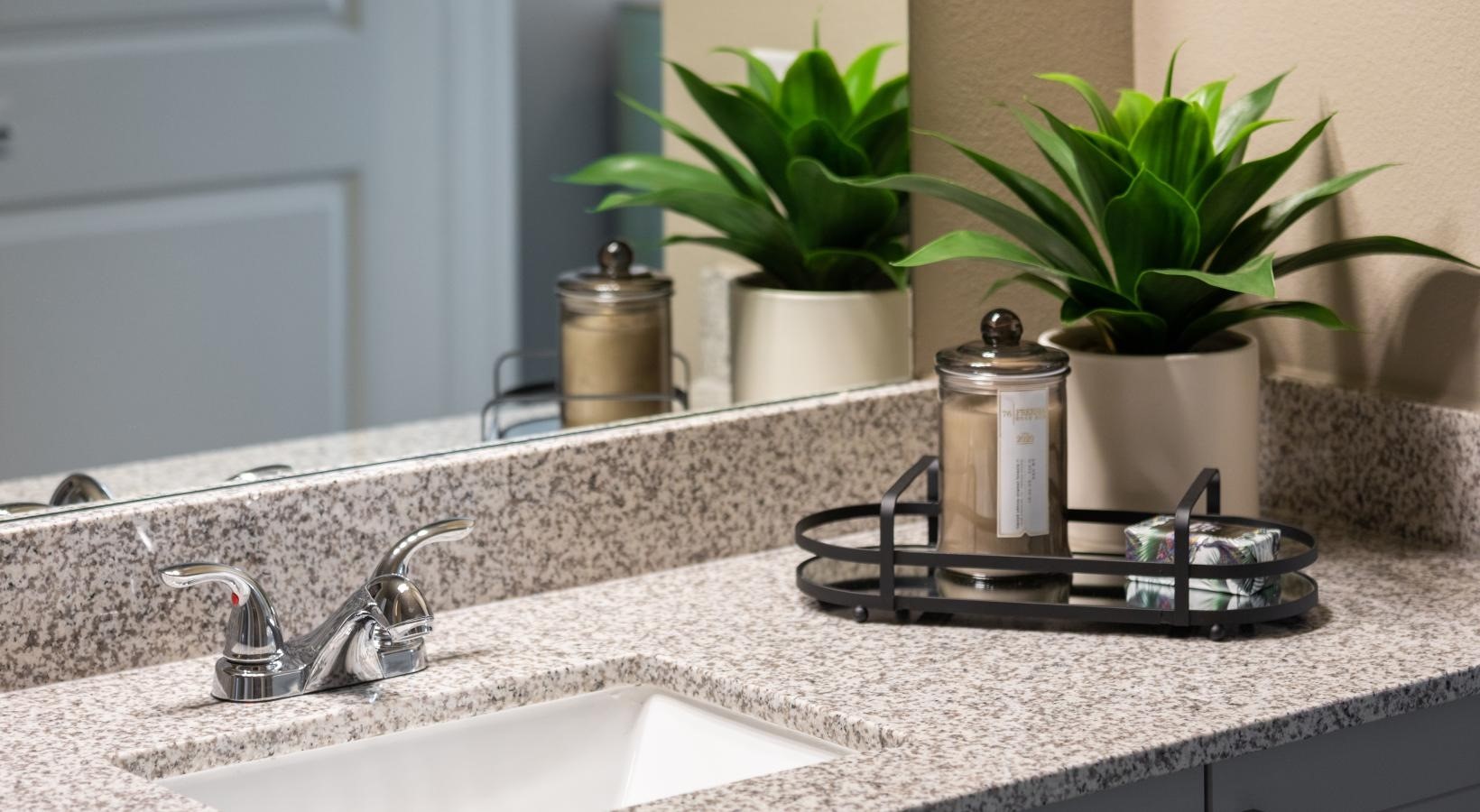 19770 Clay Road, Unit 66308 Katy, TX 77449 - Photo 14 of 35 a closeup of a sink with a potted plant