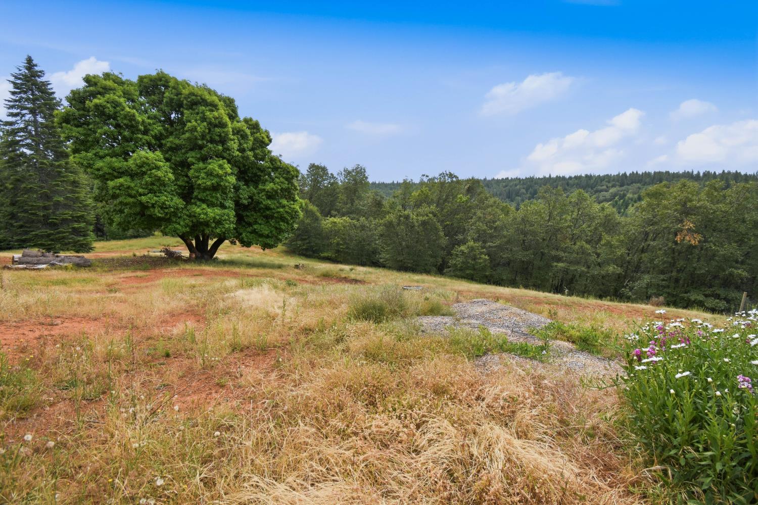 29070 Ridge View Road Foresthill, CA 95631 - Photo 47 of 66