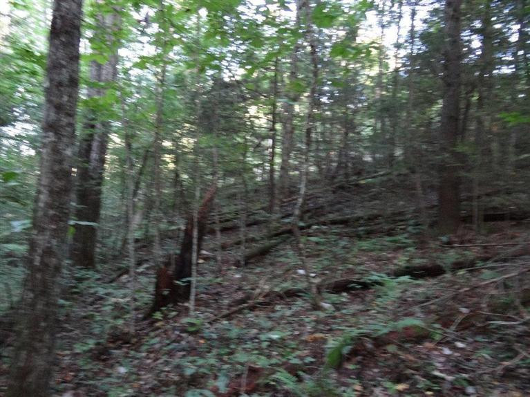 276 Timber Ridge Road Rogers, KY 41365 - Photo 3 of 8 Photo 3