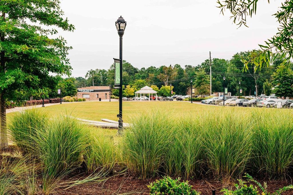 369 Scarlet Rose Way Hoschton, GA 30548 - Photo 115 of 150 a view of a lake with a palm tree next to a road
