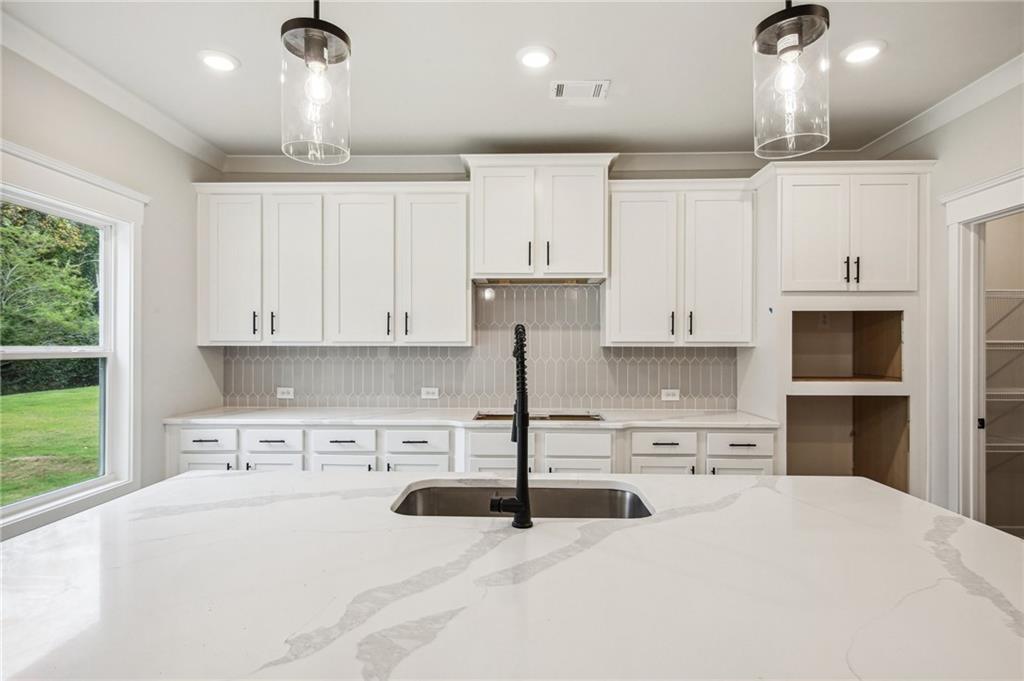 369 Scarlet Rose Way Hoschton, GA 30548 - Photo 12 of 150 a kitchen with stainless steel appliances kitchen island granite countertop a sink a stove and a refrigerator
