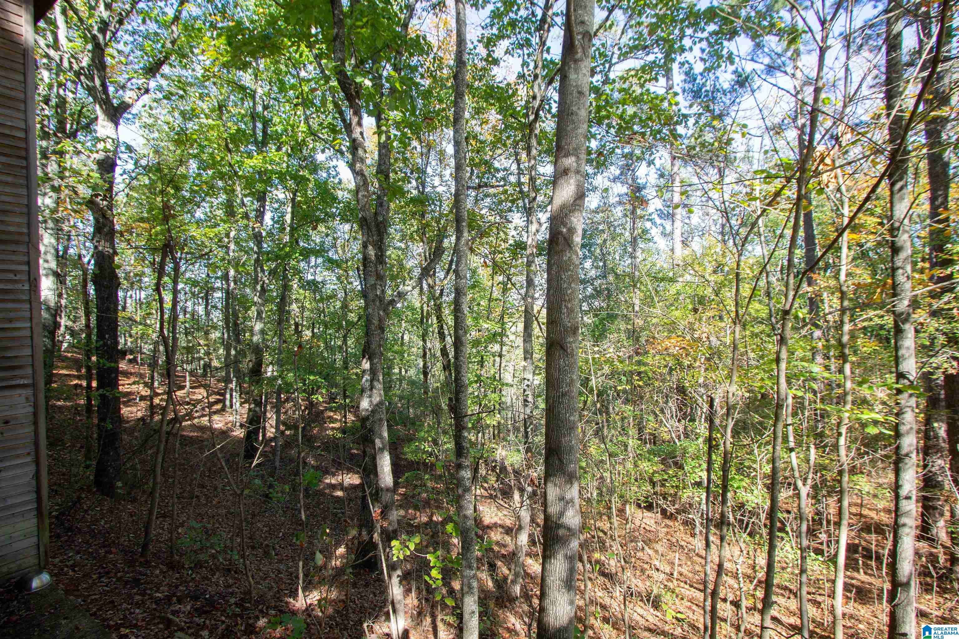 312 Sunset Ridge Bessemer, AL 35022 - Photo 69 of 83
