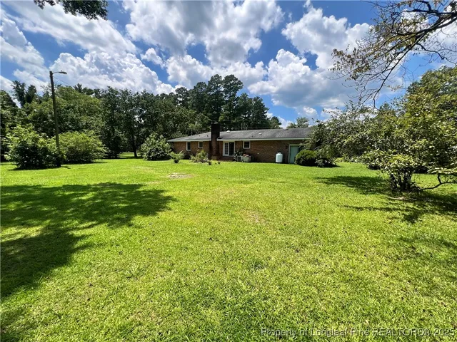 a view of a big yard with a large tree