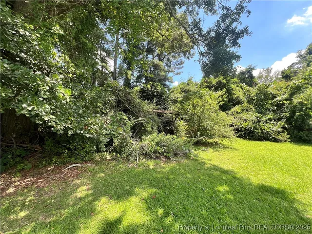 a view of a yard with a tree