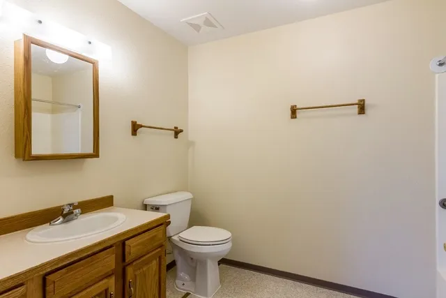 a bathroom with a sink and a toilet
