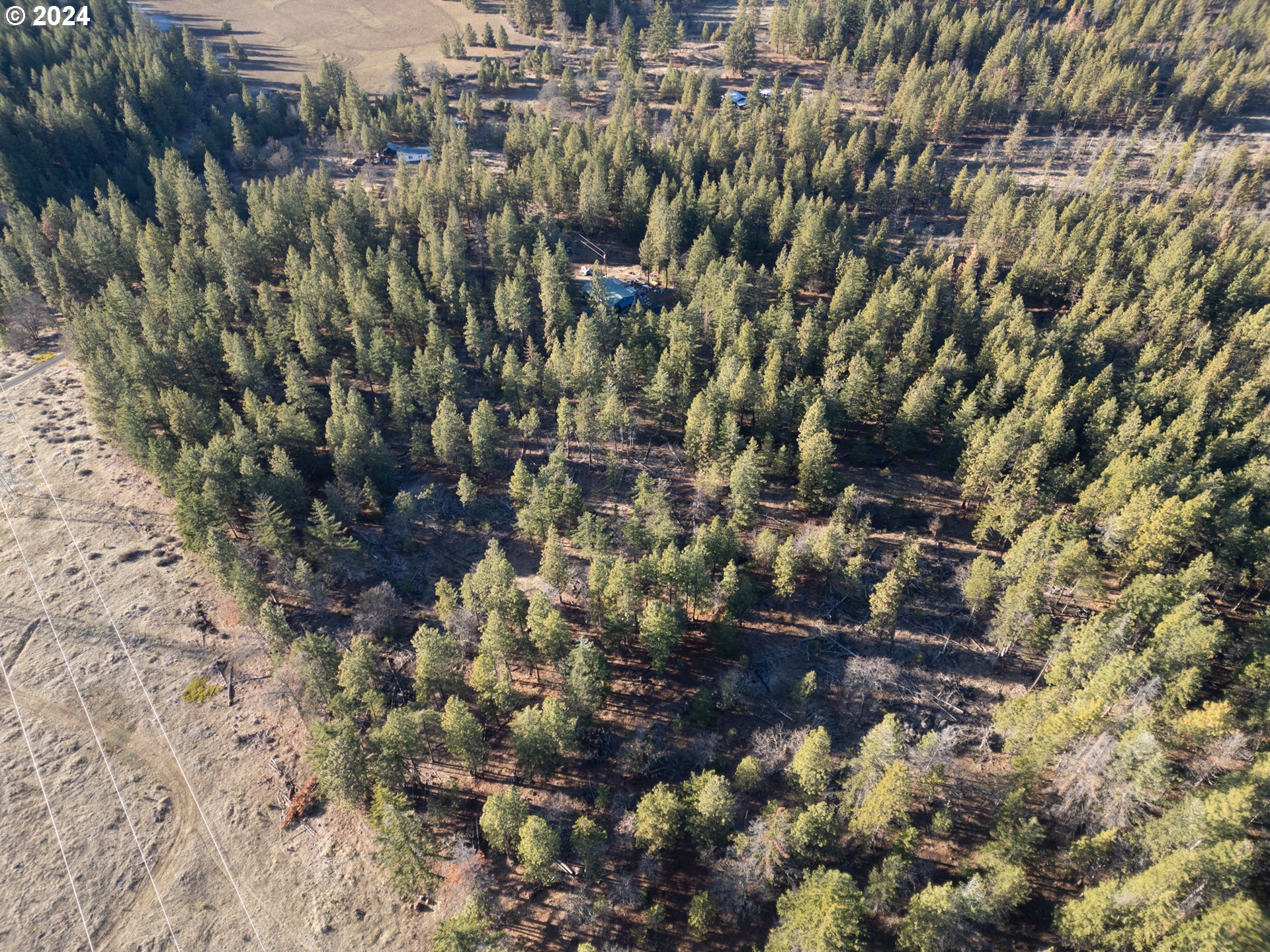 504 Austin Road Goldendale, WA 98620 - Photo 3 of 28 Gallery Image 3