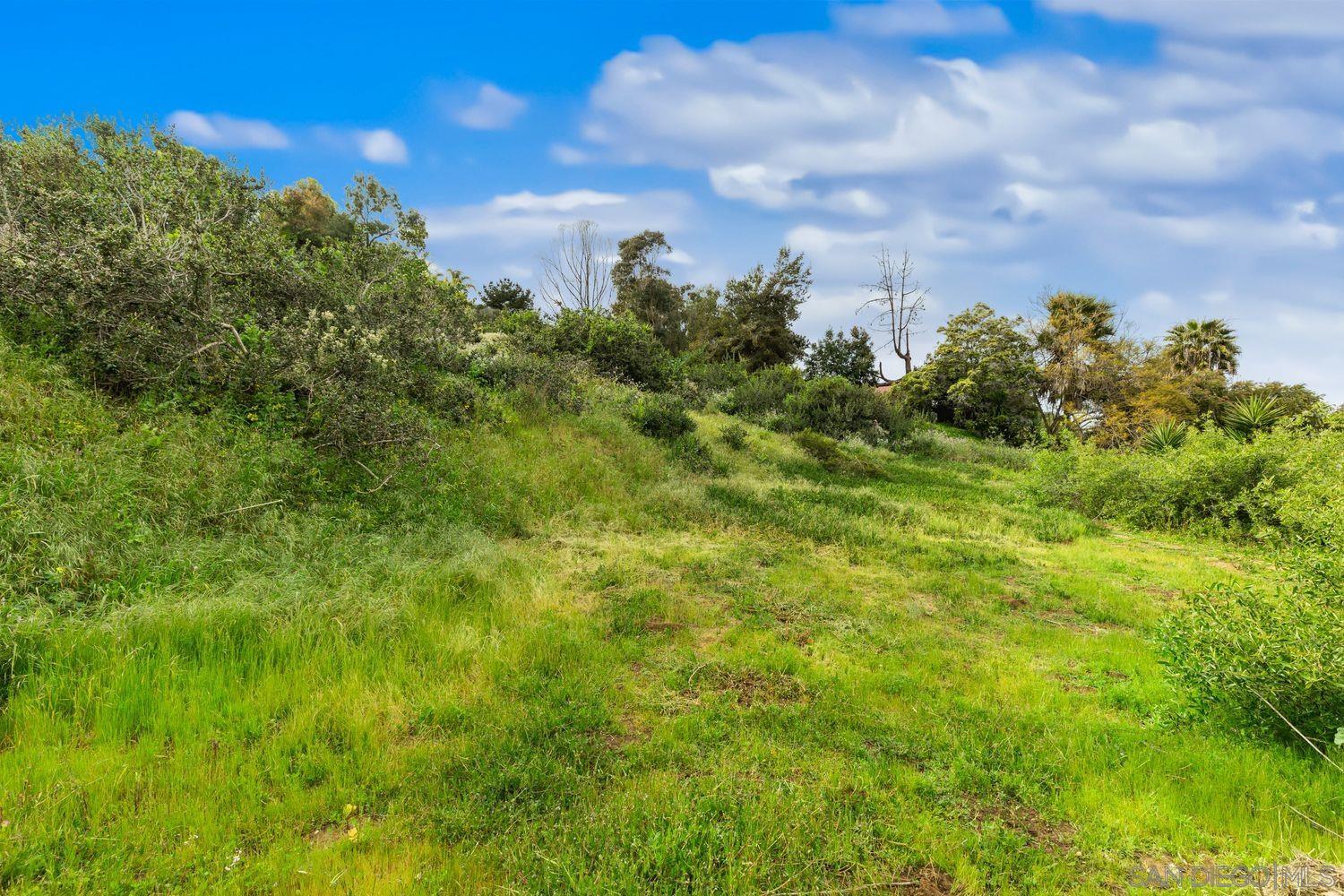 1408 Orpheus Avenue Encinitas, CA 92024 - Photo 6 of 10 a view of a bunch of trees in background