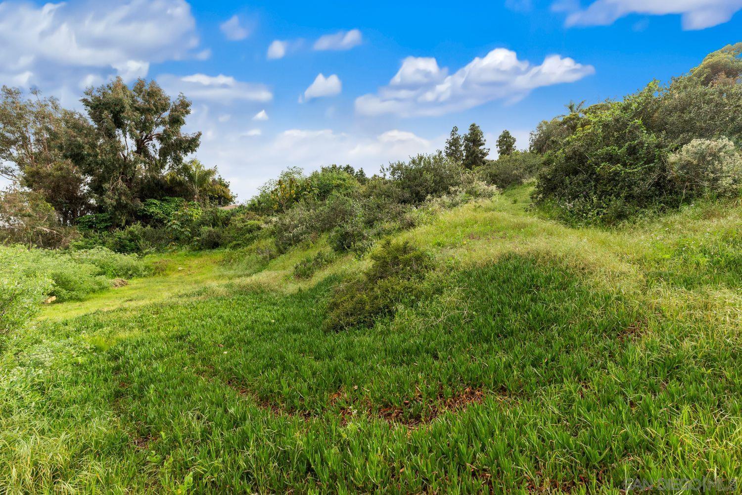 1408 Orpheus Avenue Encinitas, CA 92024 - Photo 7 of 10 a view of a bunch of trees