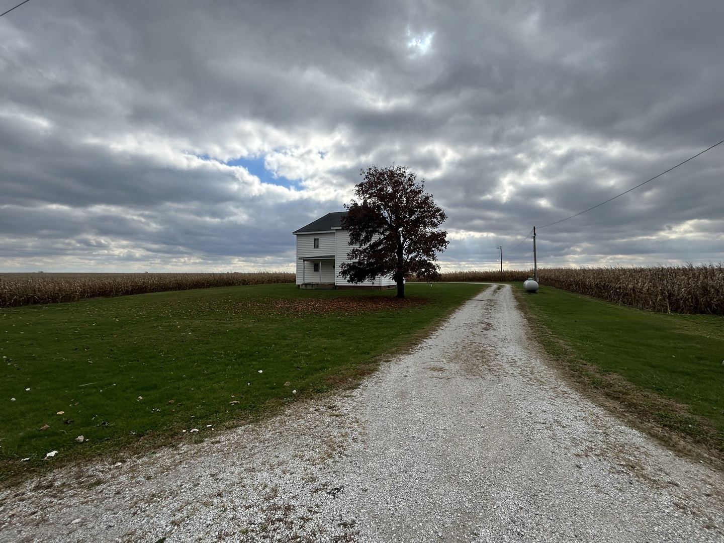 5512 East 2950 N Road Potomac, IL 61865 - Photo 3 of 44 a view of a green field