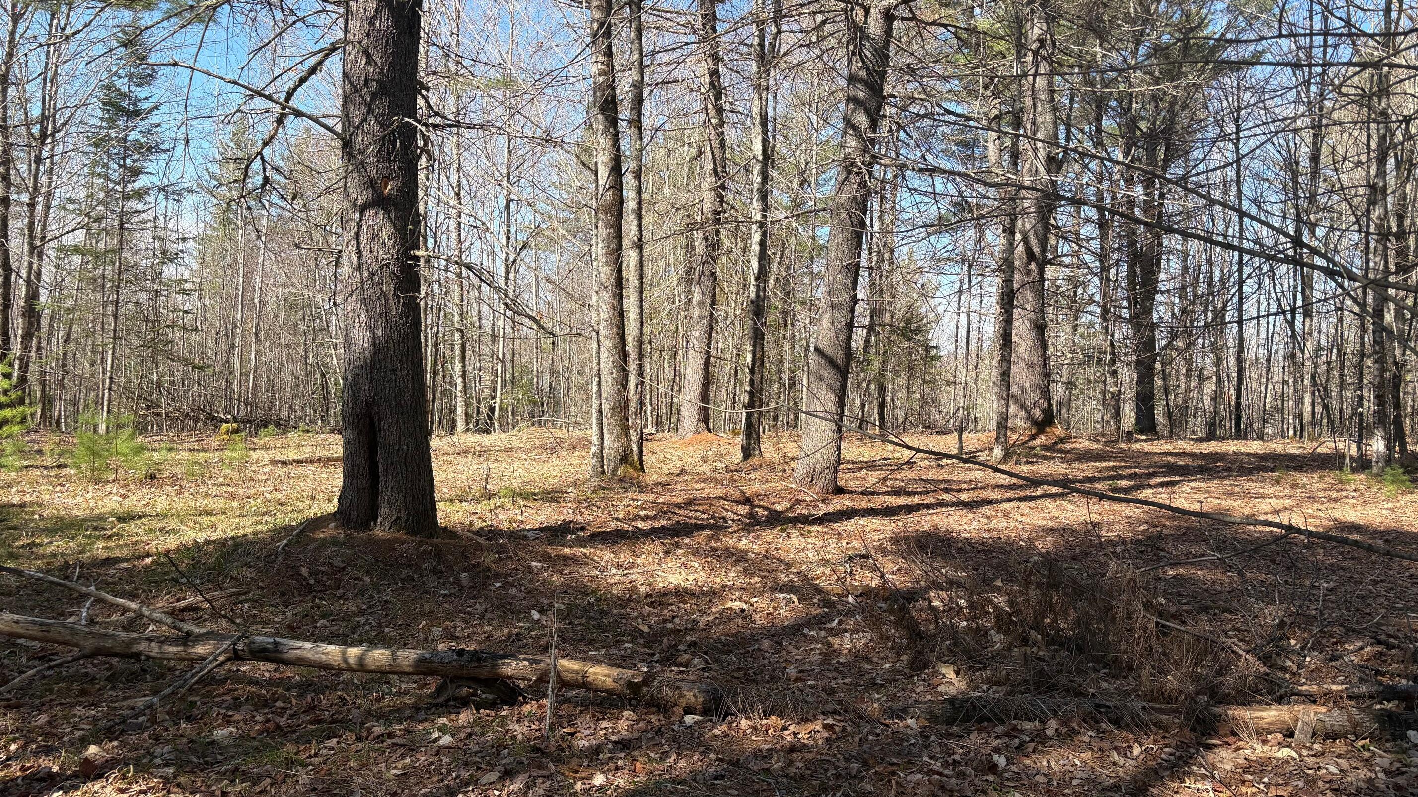 13 Mayhew Road Starks, ME 04911 - Photo 19 of 28