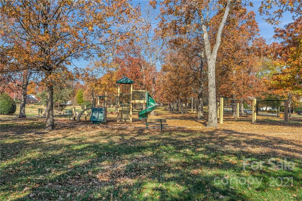 3800 Ruth Street Indian Trail, NC 28079 - Photo 34 of 34 a view of a yard with a tree