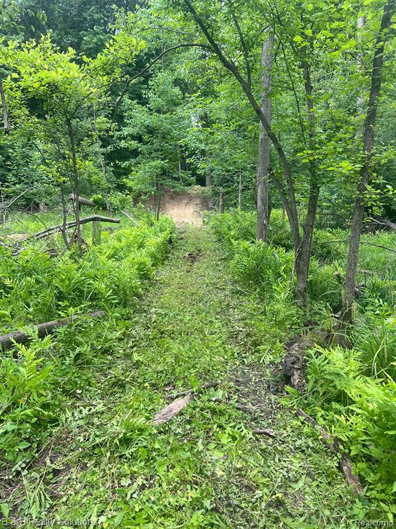 0 Ducker Road Marlette, MI 48453 - Photo 25 of 44