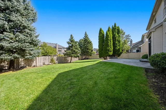 a view of a yard with a tree