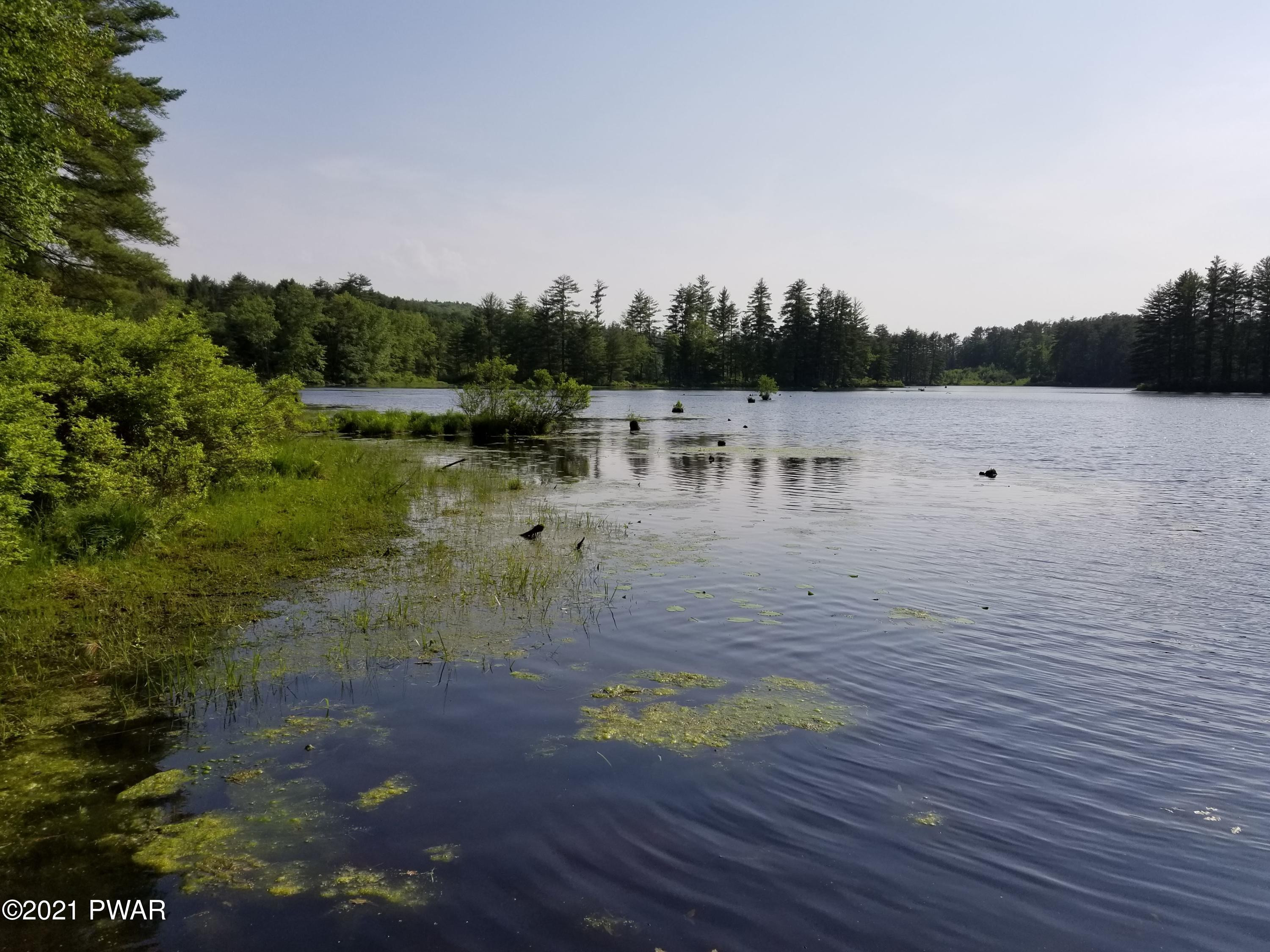 Lot # Swamp Pond Road Narrowsburg, NY 12764 - Photo 8 of 11