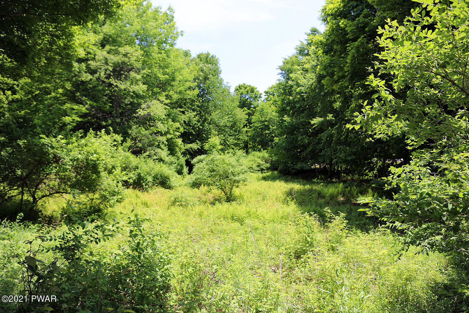Lot 65 Stonegate Road Equinunk, PA 18417 - Photo 3 of 35 314A5261