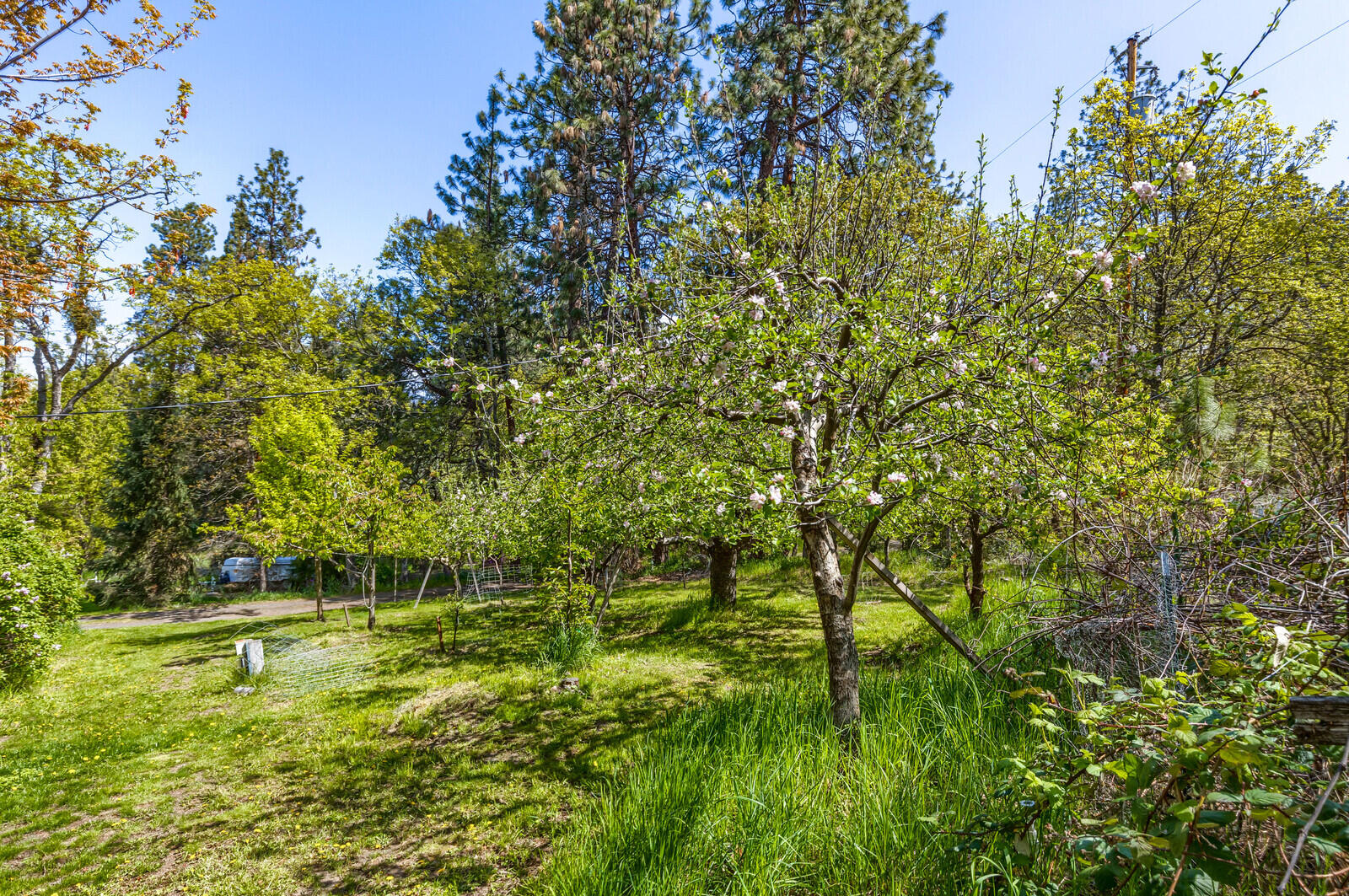 7562 Rapp Lane Talent, OR 97540 - Photo 33 of 40 22_RL_22_mls