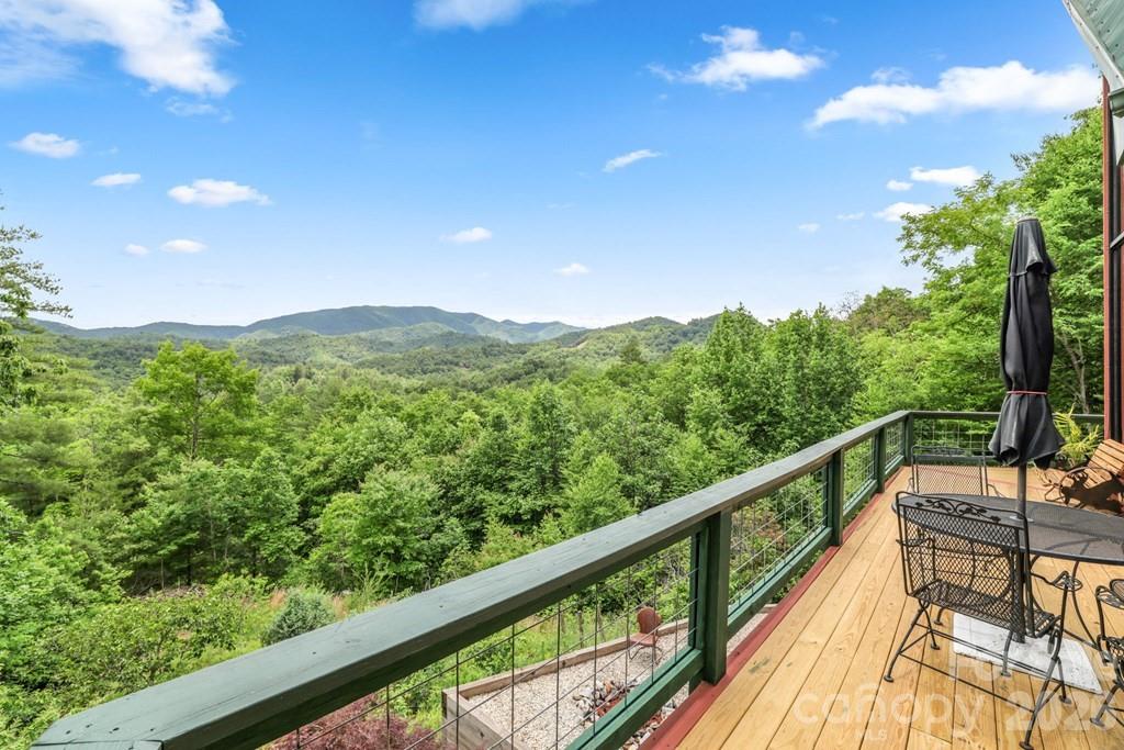 1188 Tobacco Branch Road Almond, NC 28702 - Photo 33 of 45