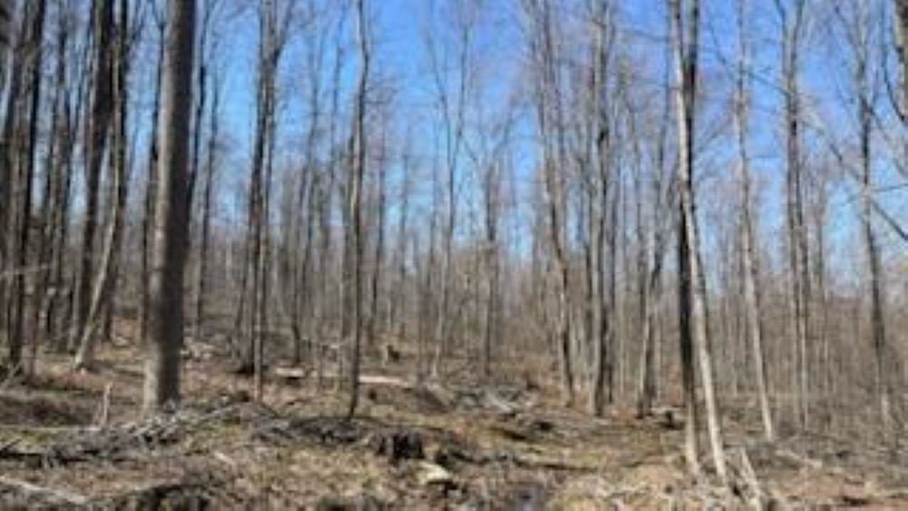 1376 Kingdom Road Ludlow, VT 05149 - Photo 8 of 23