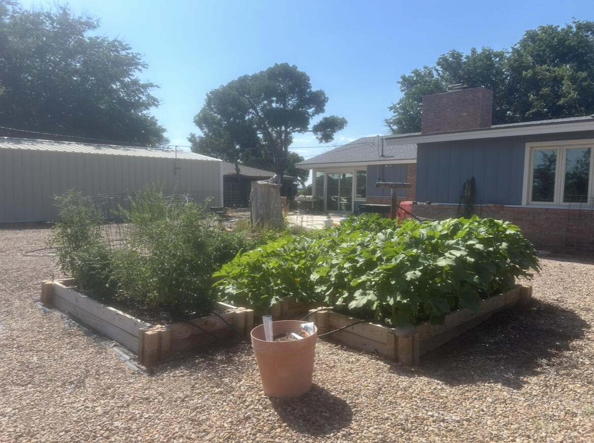1907 Highway 70 Muleshoe, TX 79347 - Photo 4 of 34 a view of a garden with plants