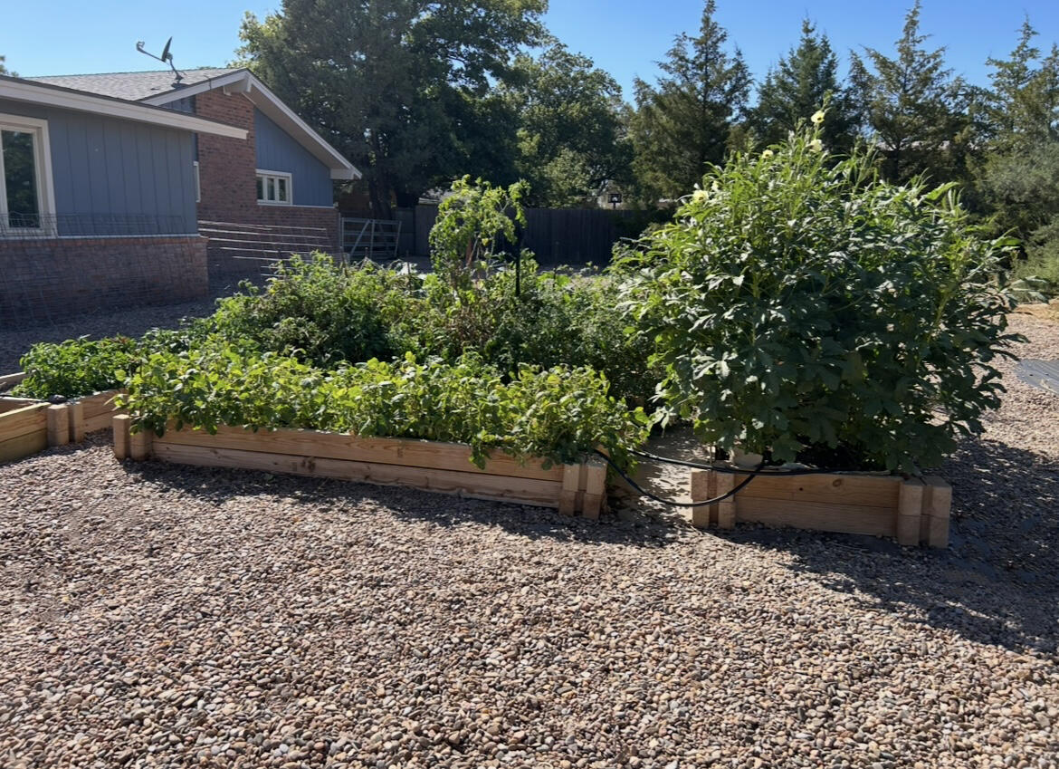 1907 Highway 70 Muleshoe, TX 79347 - Photo 7 of 34 a view of a backyard with potted plants