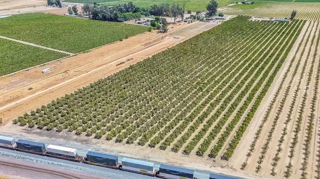 a view of a garden and basketball court