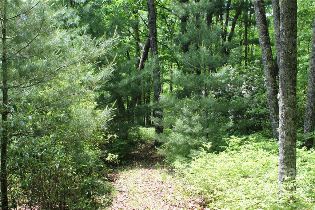 16 Big Branch Road, Unit 16 Brevard, NC 28712 - Photo 3 of 15 Gallery Image 3
