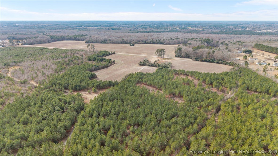 4040 Shannon Road Shannon, NC 28386 - Photo 11 of 16