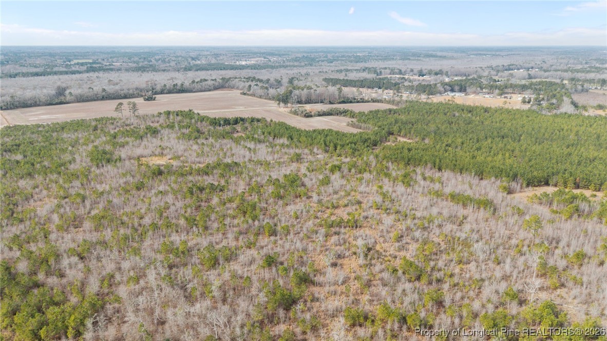 4040 Shannon Road Shannon, NC 28386 - Photo 13 of 16