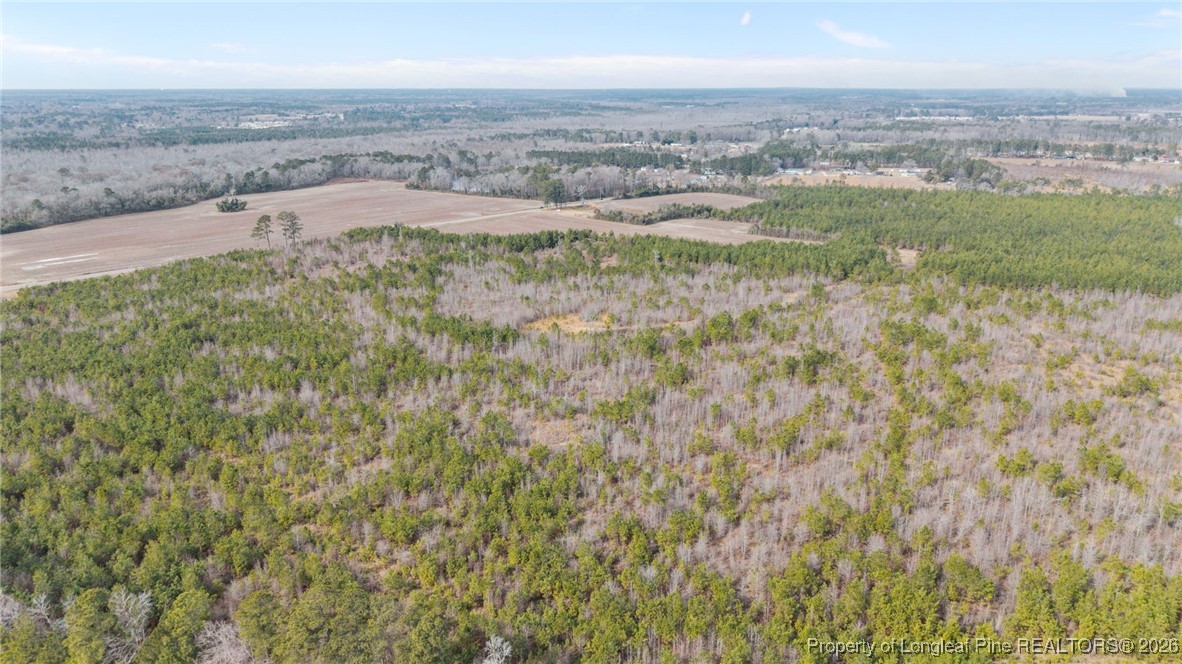 4040 Shannon Road Shannon, NC 28386 - Photo 14 of 16