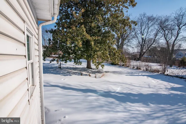 a view of a yard with an trees