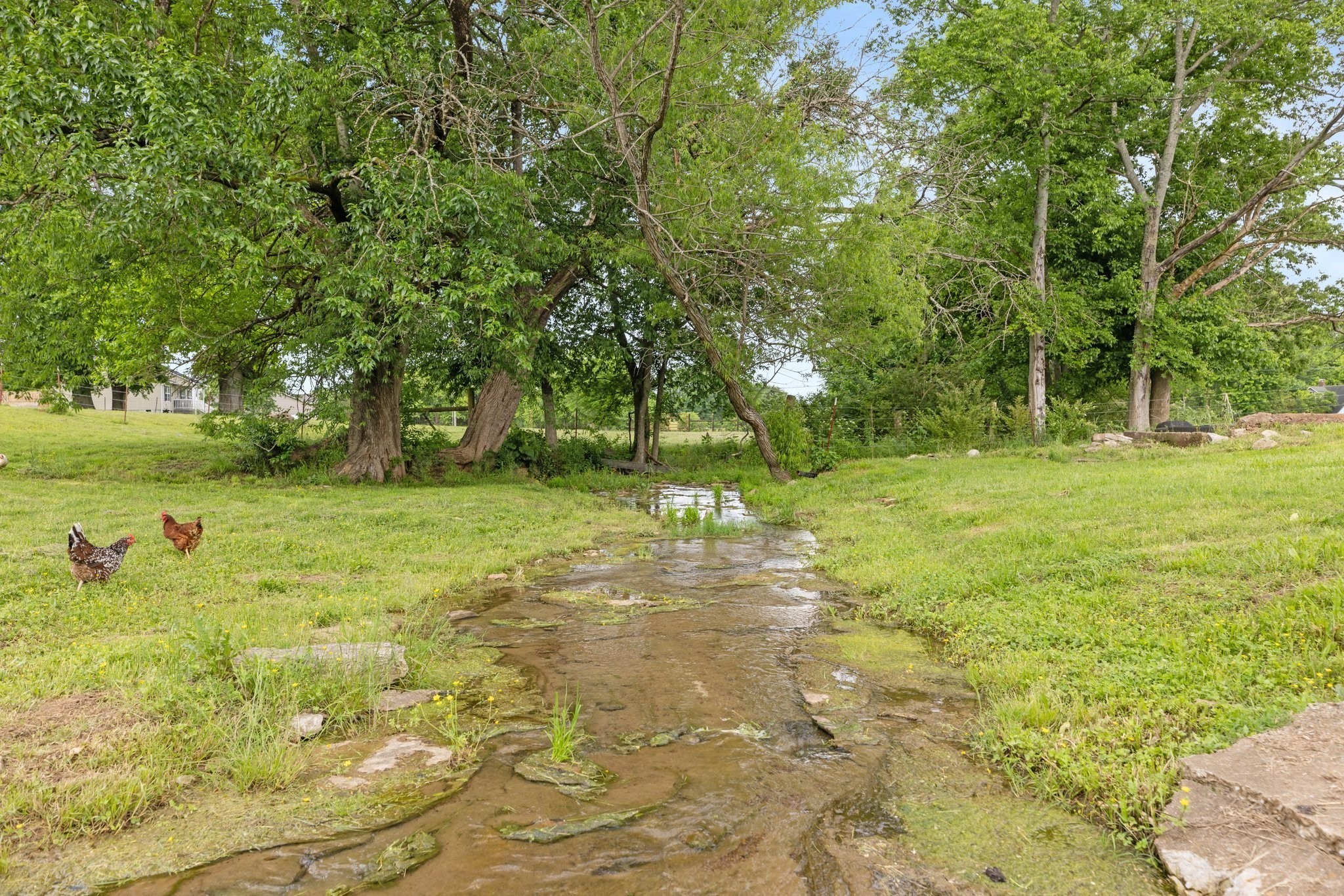 3310 Booker Ridge Road Mount Pleasant, TN 38474 - Photo 17 of 40 a backyard of a house with trees and plants
