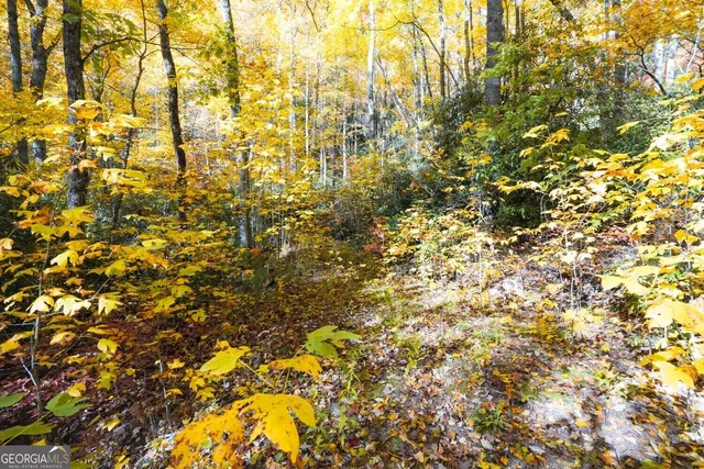 $89,000 | 0 Bald Mountain Road, Unit 55 57, Dillard, GA 30537