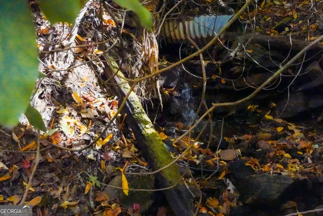 $89,000 | 0 Bald Mountain Road, Unit 55 57, Dillard, GA 30537