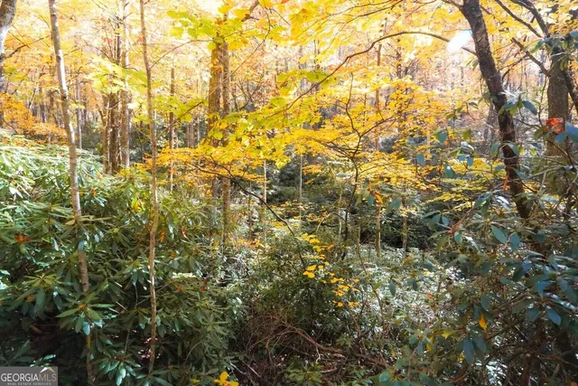 $89,000 | 0 Bald Mountain Road, Unit 55 57, Dillard, GA 30537