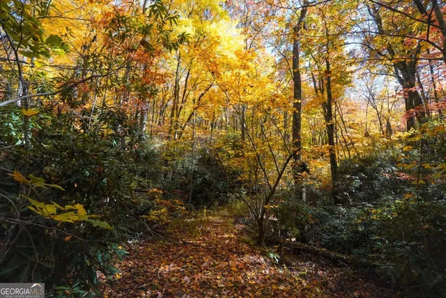 $89,000 | 0 Bald Mountain Road, Unit 55 57, Dillard, GA 30537