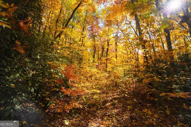 $89,000 | 0 Bald Mountain Road, Unit 55 57, Dillard, GA 30537