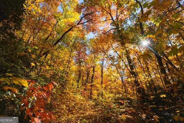 $89,000 | 0 Bald Mountain Road, Unit 55 57, Dillard, GA 30537